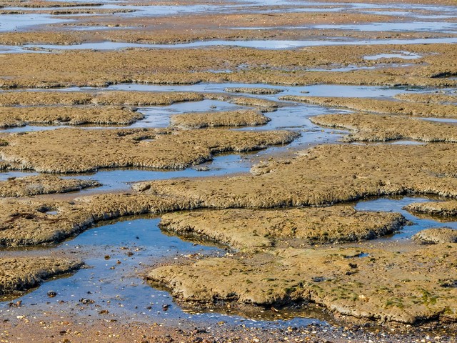 Wasser- und Abfallwirtschaft im Dialog: Niedrigwasserrisikomanagement