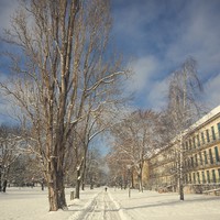 Winter auf dem Campus Magdeburg