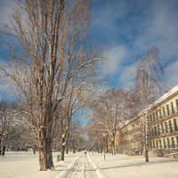 Winter auf dem Campus Magdeburg