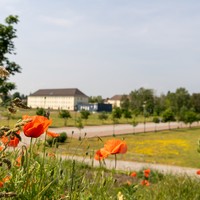 Studieren im Grünen