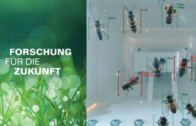 University of Applied Sciences Magdeburg-Stendal at the nationwide trade fair "Grüne Woche"