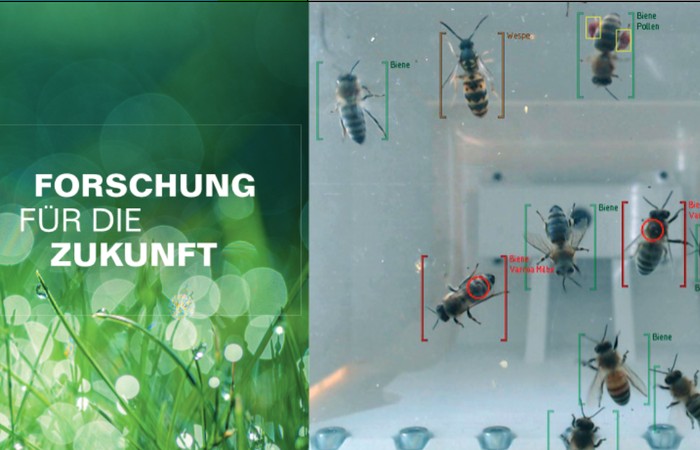 Grafik zur Grünen Woche mit Bienen, Rasen und dem Slogan "Forschung für die Zukunft".