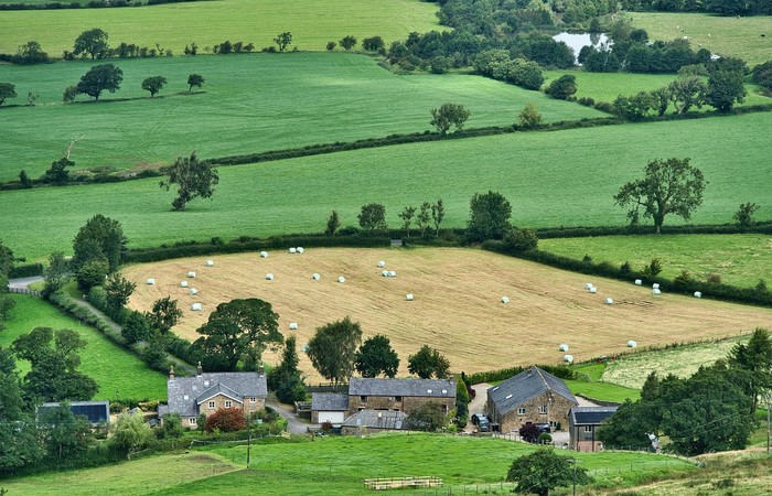 Landschaft einer wenig besiedelten Kommune mit viel Natur und Feldern.