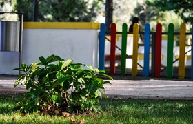 Forschung vorgestellt: KliKi - Klimagesundheit in Kitas