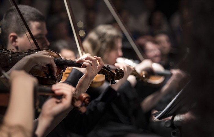 Orchestermitglieder spielen die Violine.