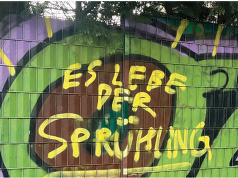 Foto eines Street-Art Graffiti mit dem Spruch "Es lebe der Sprühling".