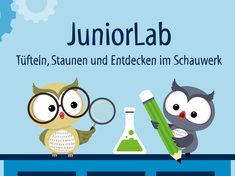 Infografik zum Juniorlab mit illustrierten Eulen beim Experimentieren.