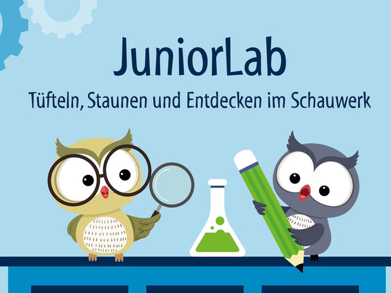 Infografik zum Juniorlab mit illustrierten Eulen beim Experimentieren.